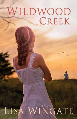 Cover of the book Wildwood Creek (The Shores of Moses Lake Book #4) by Eddy Hall, Ray Bowman, J. Skipp Machmer