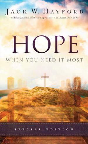 Cover of the book Hope When You Need It Most by Leisha Kelly