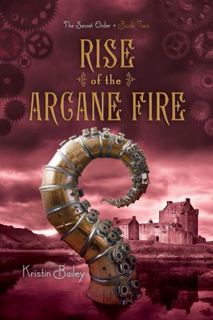 Cover of the book Rise of the Arcane Fire by Allison van Diepen