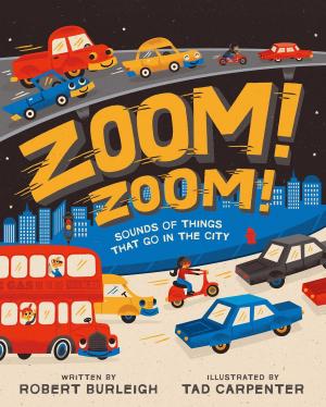 Cover of the book Zoom! Zoom! by Peter Fenton