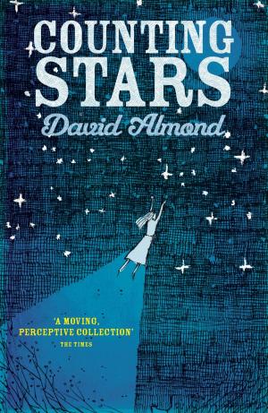 Book cover of Counting Stars