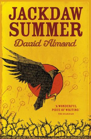Cover of the book Jackdaw Summer by Jan Burchett, Sara Vogler