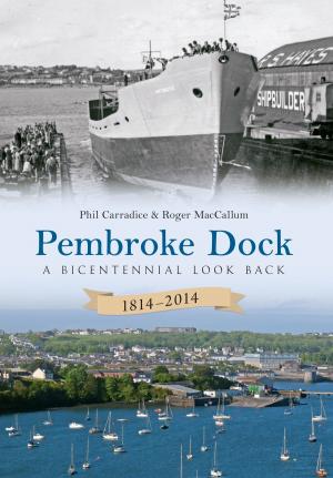 Book cover of Pembroke Dock 1814-2014