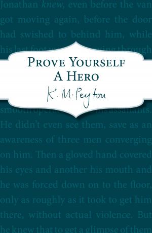 bigCover of the book Prove Yourself a Hero by 