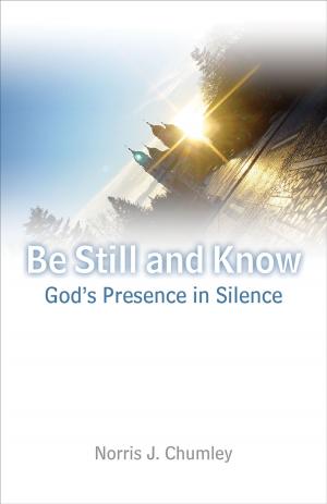 Cover of the book Be Still and Know by Hollie M. Holt-Woehl
