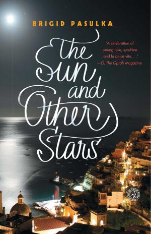 bigCover of the book The Sun and Other Stars by 