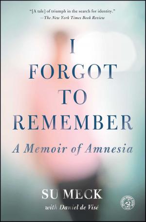Cover of the book I Forgot to Remember by Scott Eyman