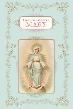 Cover of The Little Book of Mary