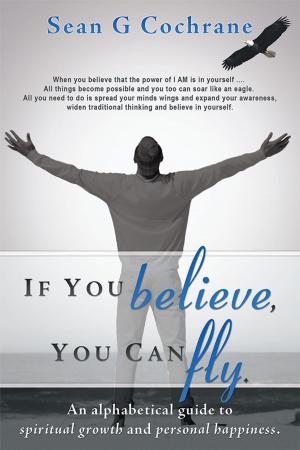 Cover of the book If You Believe, You Can Fly. by B. Louise Bayer