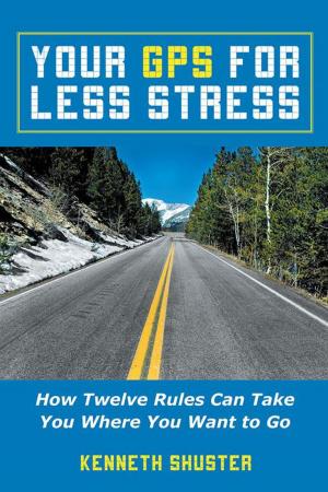 Cover of the book Your Gps for Less Stress by Svein Harald Haukanes