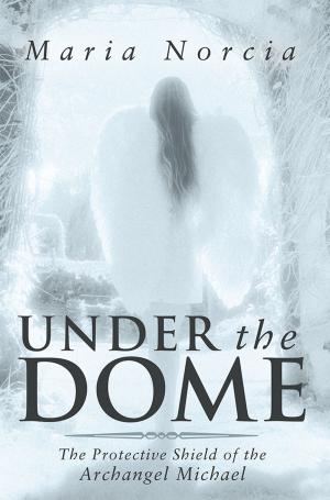 Cover of the book Under the Dome by M.K.R. Khan