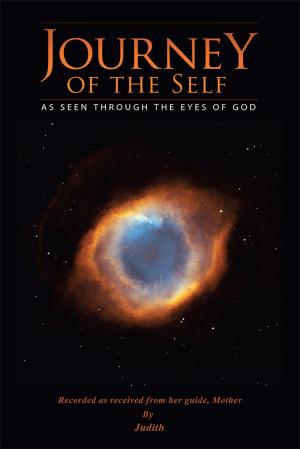 Cover of the book Journey of the Self by Ilze Puriv