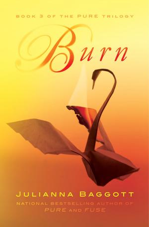 Cover of the book Burn by M.C.A. Hogarth
