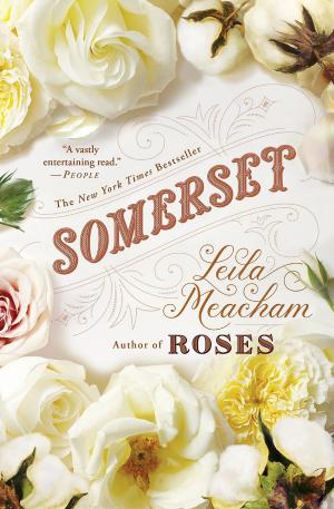 Cover of the book Somerset by Josha Zwaan