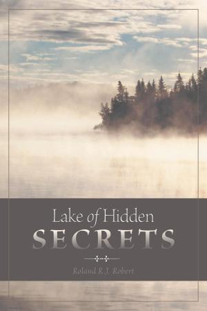 Cover of the book Lake of Hidden Secrets by Hiroko Falkenstein