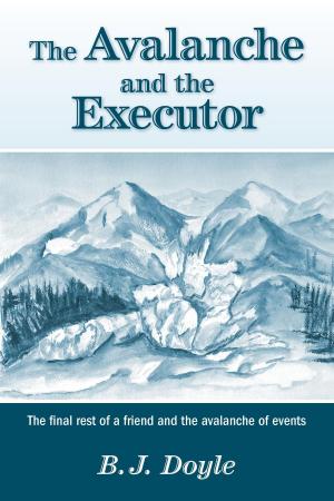 Book cover of The Avalanche and the Executor
