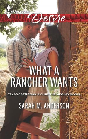 Cover of the book What a Rancher Wants by Josie Metcalfe