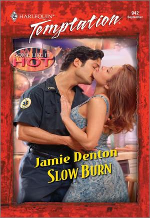 Cover of the book Slow Burn by Brenda Jackson, Susan Mallery