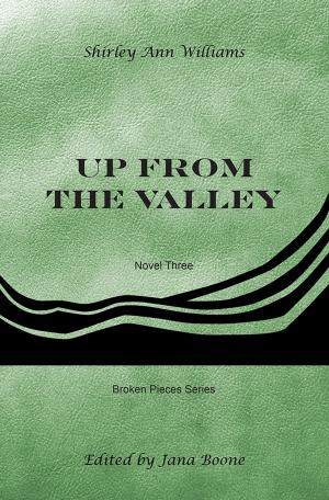 Cover of the book Up from the Valley by J. Melvin Zink