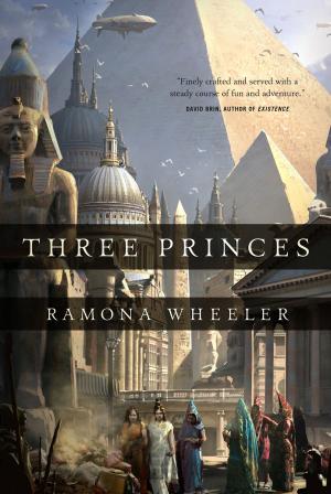 Cover of the book Three Princes by Rudy Rucker