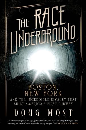 Cover of the book The Race Underground by David Rosenfelt