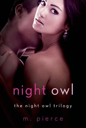 Cover of the book Night Owl by Michael Moran