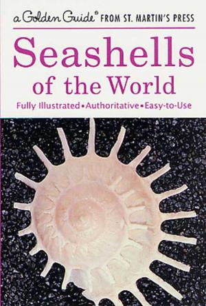 Cover of the book Seashells of the World by Michael Curtis Ford
