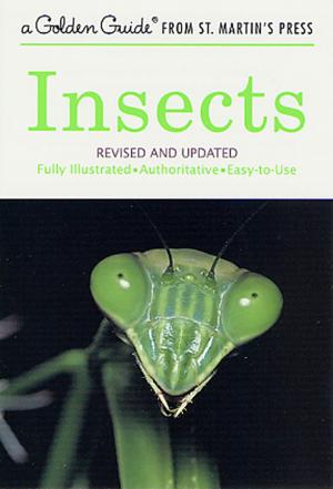 Cover of the book Insects by Andrei Netto