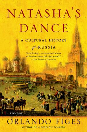 Book cover of Natasha's Dance