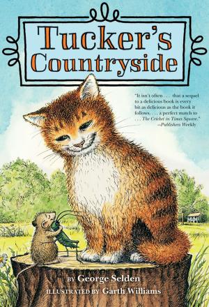 Cover of the book Tucker's Countryside by Araminta Hall
