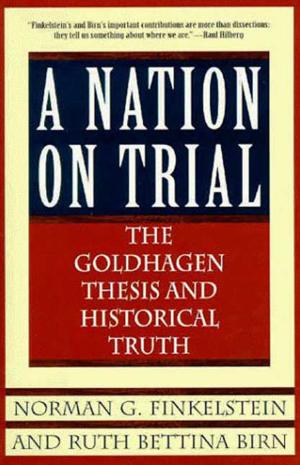 Book cover of A Nation on Trial