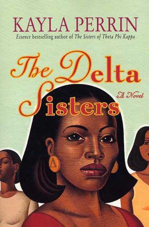 Cover of the book The Delta Sisters by Claude Izner