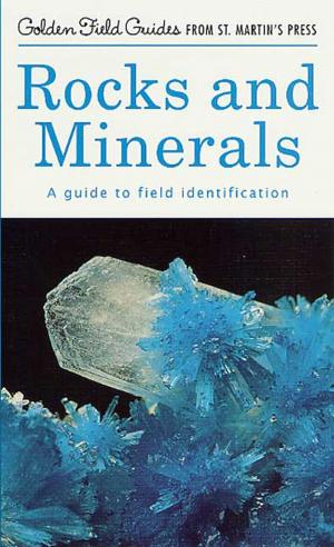 Cover of the book Rocks and Minerals by Pasi Ilmari Jääskeläinen