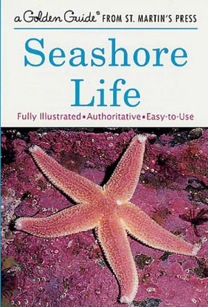 Book cover of Seashore Life