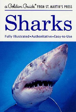 Cover of the book Sharks by RENE CASTEX