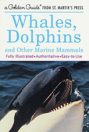Cover of the book Whales, Dolphins, and Other Marine Mammals by Homer Hickam
