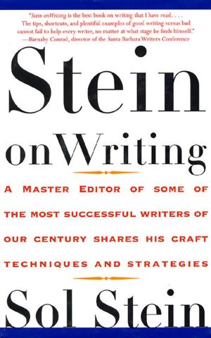Cover of the book Stein On Writing by Stephen C Norton