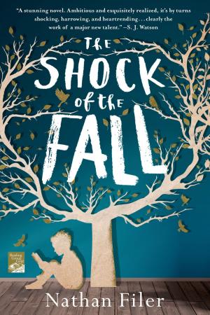 Cover of the book The Shock of the Fall by Opal Carew