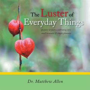 Book cover of The Luster of Everyday Things