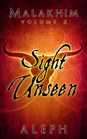 Cover of the book Malakhim Volume 2: Sight Unseen by Carly Fall