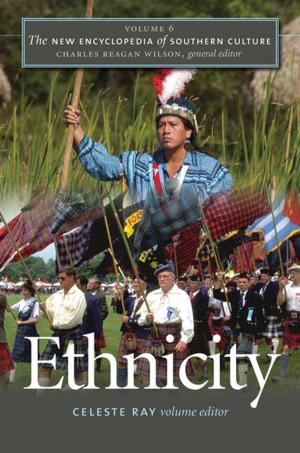 Cover of the book The New Encyclopedia of Southern Culture by Amy Kate Bailey, Stewart E. Tolnay