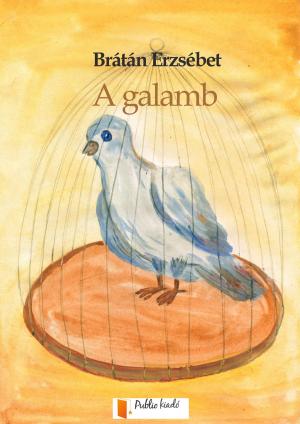 Cover of the book A galamb by Brátán Erzsébet