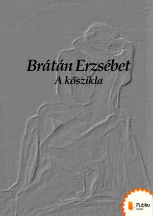 Cover of the book A kőszikla by Brátán Erzsébet