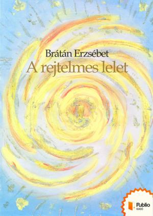 bigCover of the book A rejtelmes lelet by 