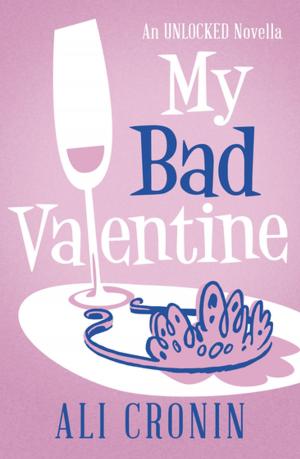 Cover of the book My Bad Valentine by Damian Kelleher