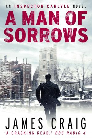 Cover of the book A Man of Sorrows by Pat McIntosh