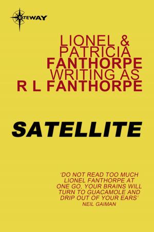 Cover of the book Satellite by Lou Hamilton