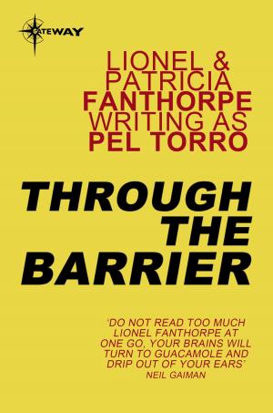 Cover of the book Through The Barrier by Kenneth Bulmer