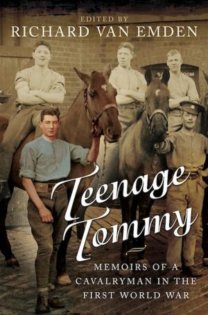 Book cover of Teenage Tommy