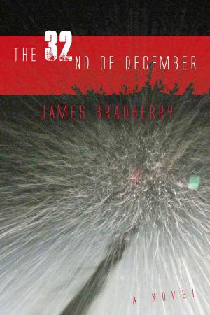 bigCover of the book The 32nd of December by 
